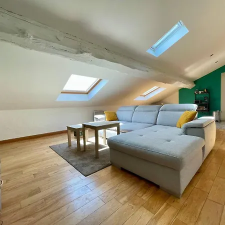 L'aigle D'or - Vue Cite Medievale アパート *