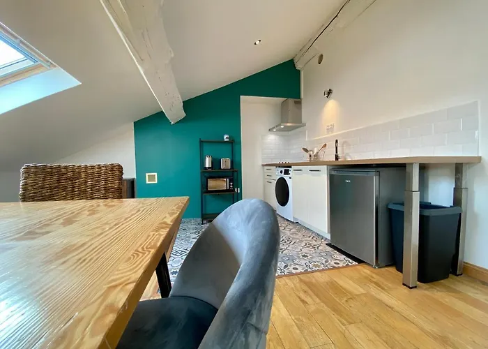 L'aigle D'or - Vue Cite Medievale Apartment